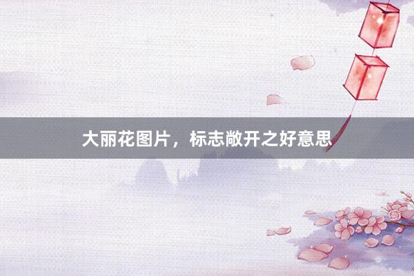 大丽花图片，标志敞开之好意思