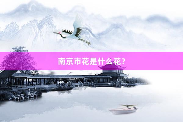 南京市花是什么花？