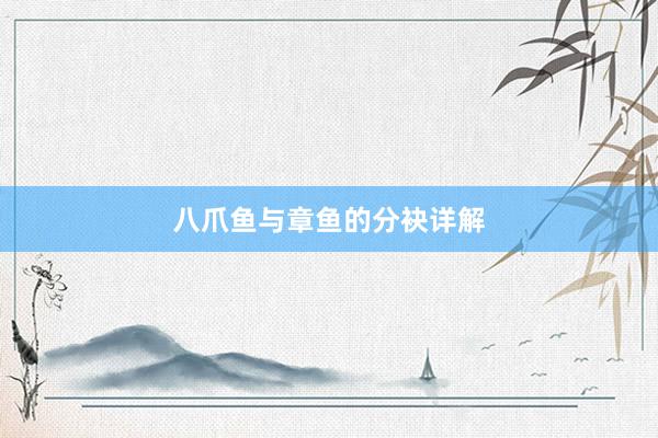 八爪鱼与章鱼的分袂详解