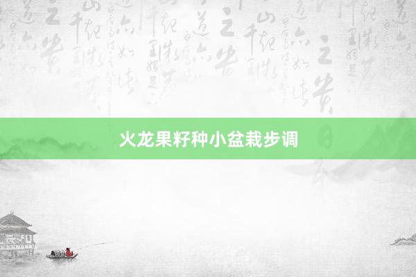 火龙果籽种小盆栽步调